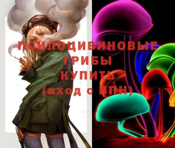 ешки Дмитров