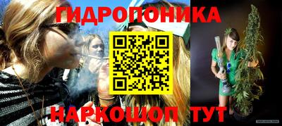 гидропоника Кингисепп
