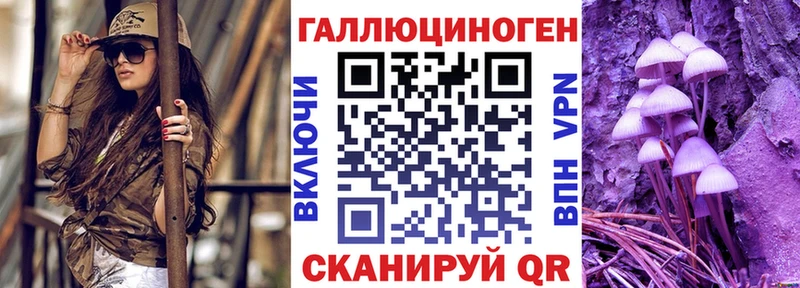 Псилоцибиновые грибы Psilocybe Пыть-Ях