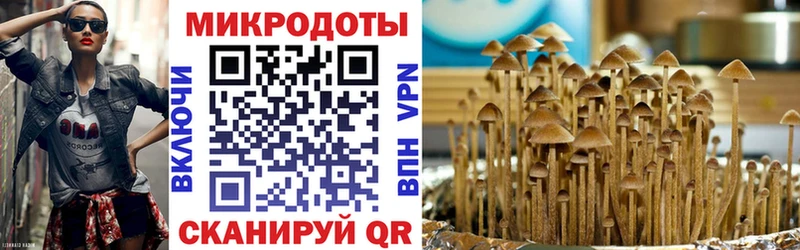 Галлюциногенные грибы прущие грибы  Пыть-Ях 