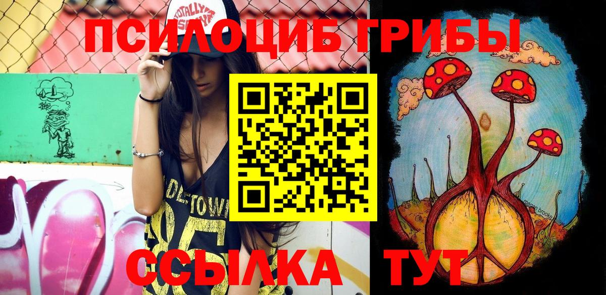 Псилоцибиновые грибы Psilocybe  Пыть-Ях 