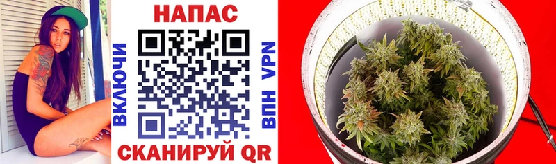 где найти Пыть-Ях Бошки Шишки гибрид